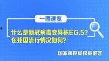 亚精产品二三三区视在线